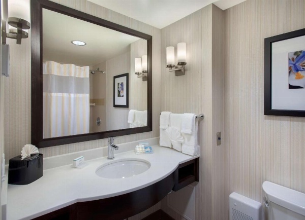 Hilton Garden Inn Chicago Downtown/North Loop image 13